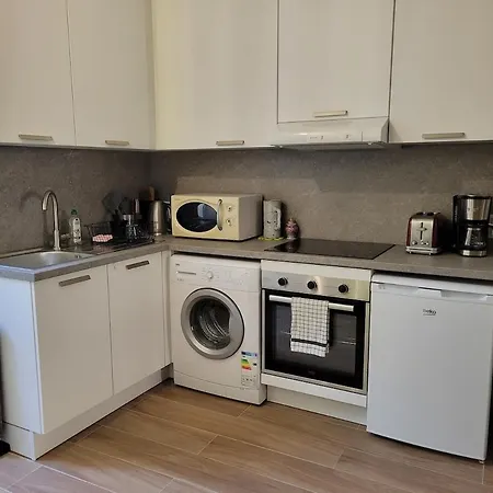 Très Beau 2 Pièces Rénové Et Climatisé Appartamento